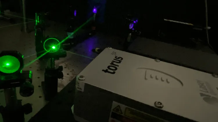 a home-built Raman spectroscopy optical setup