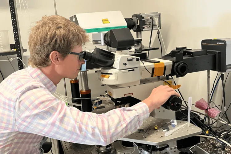 a person looking in a microscope