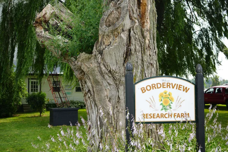 Borderview Research Farm