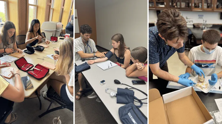 collage of (left) people suturing at a table; (center) 3 people with blood pressure cuffs at a table; (right) 2 people doing a sheep heart dissection at a table