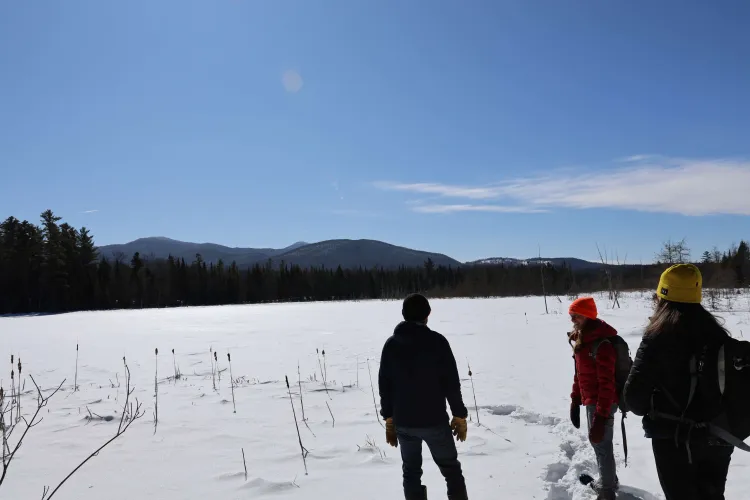 Joe's Pond