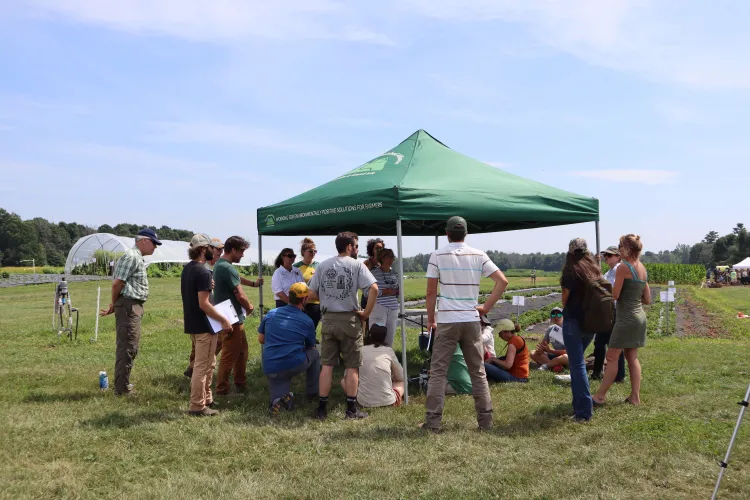 Guests gathered under a tent during an IPM presentation