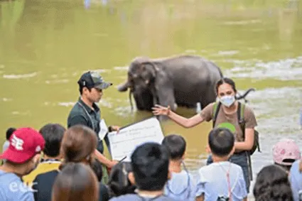 A person wearing a face mask and a brown shirt stands near a group of children and points toward an elephant in a river.