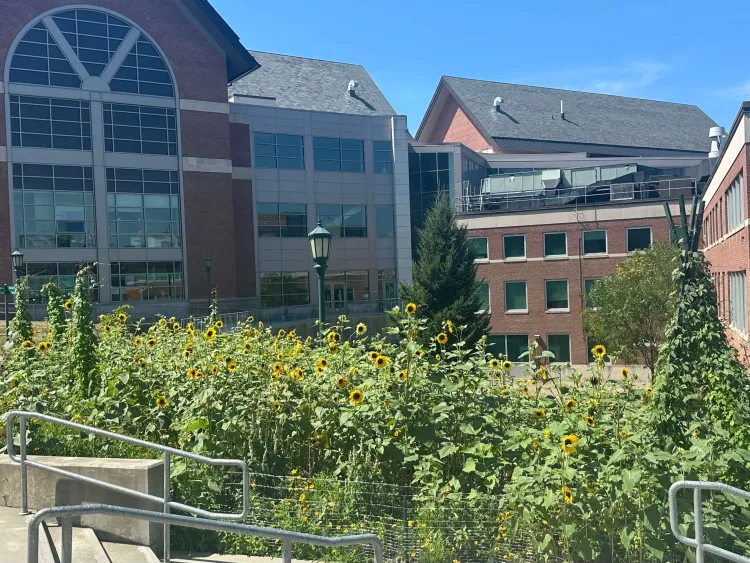 the Aiken hillside garden with the Davis Center in the background.