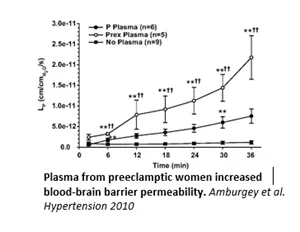 Graph showing Lp, a measure of vessel permeability, on Y-axis and time in minutes on the X-axis.