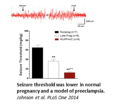 Graph of seizure Threshhold Prenant Rat