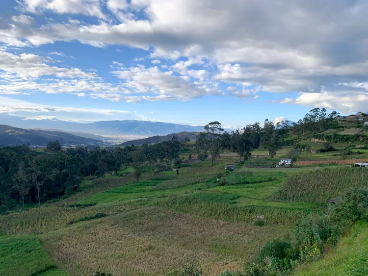 landscape of farm fields, forest, and mountains in Ecuador