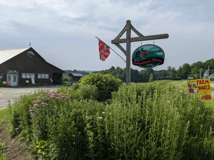 Farm Stand with sign