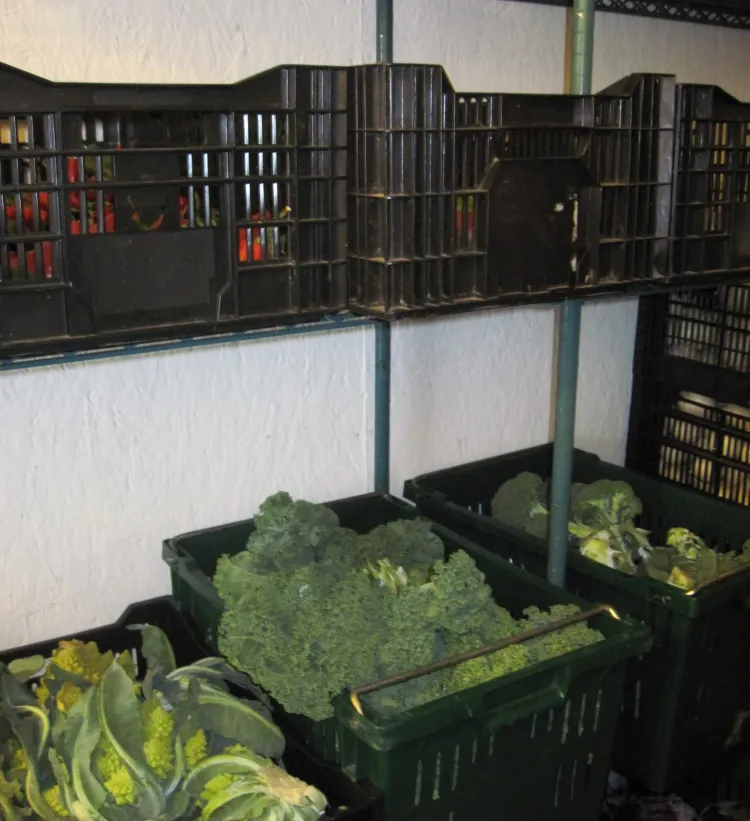 Veg storage in cooler