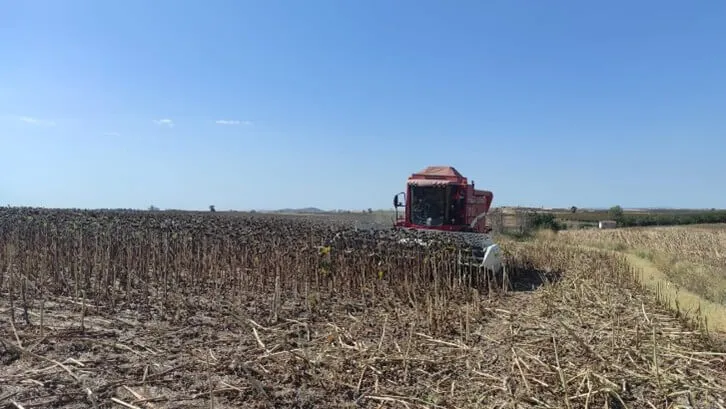 Tilling a field in Turkey