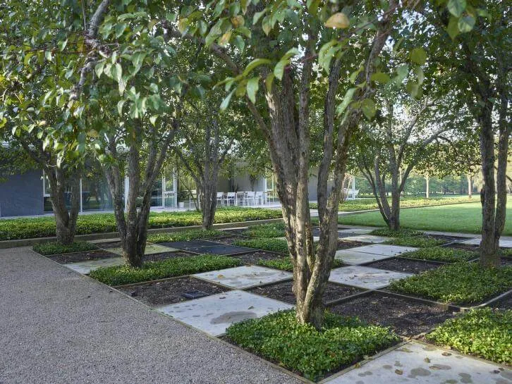 one of kiley's iconic modern landscape designs