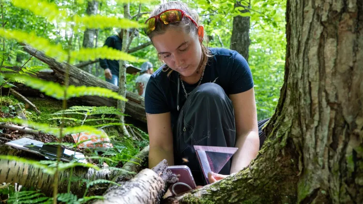 Emma Griffith photographing mushrooms