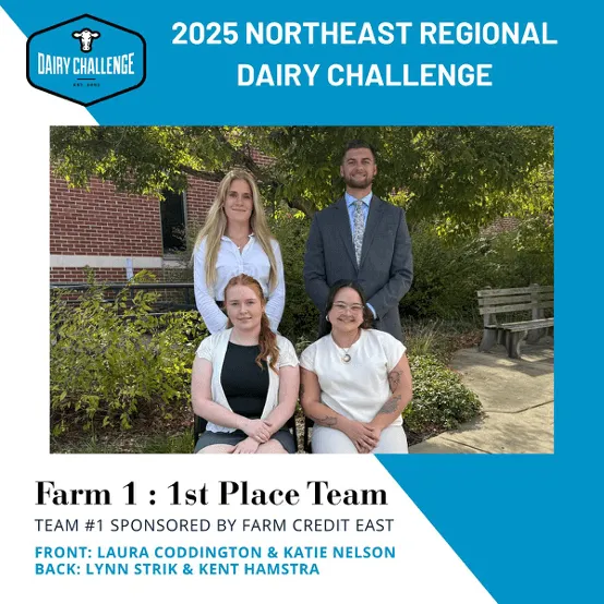 Image of 4 team winners