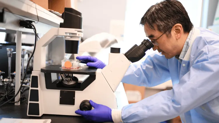 a person looking into a microscope in a lab