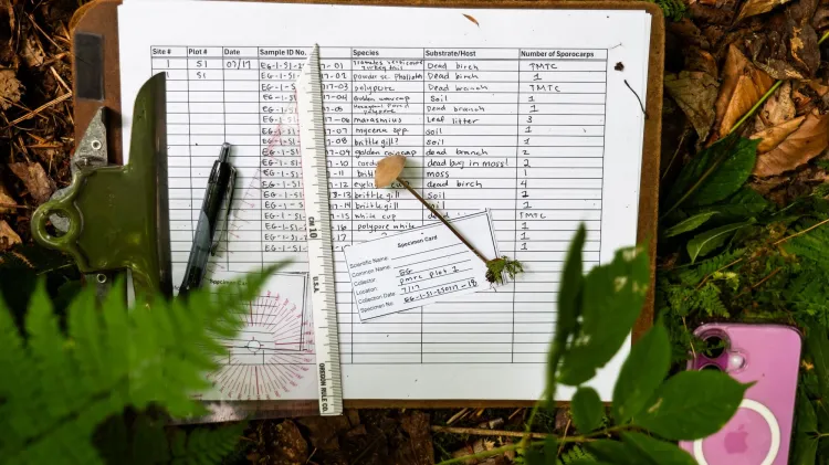 A scientific logbook, a mushroom, and a ruler
