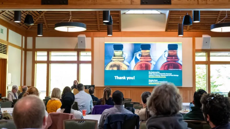 Conference room presentation of maple syrup