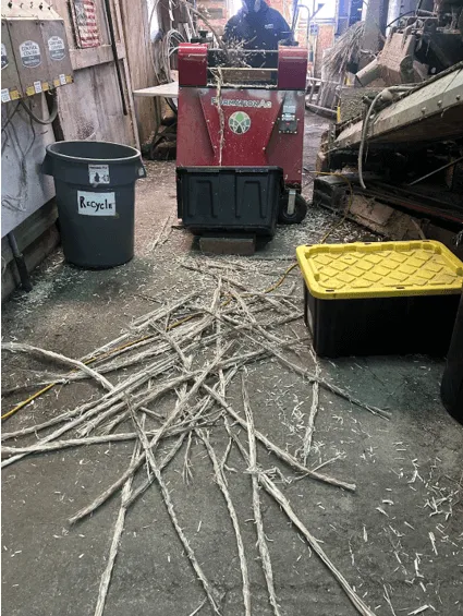 Hemp fiber on the floor of a barn.