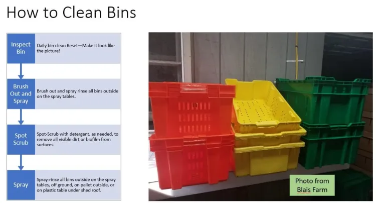 bin cleaning SOP