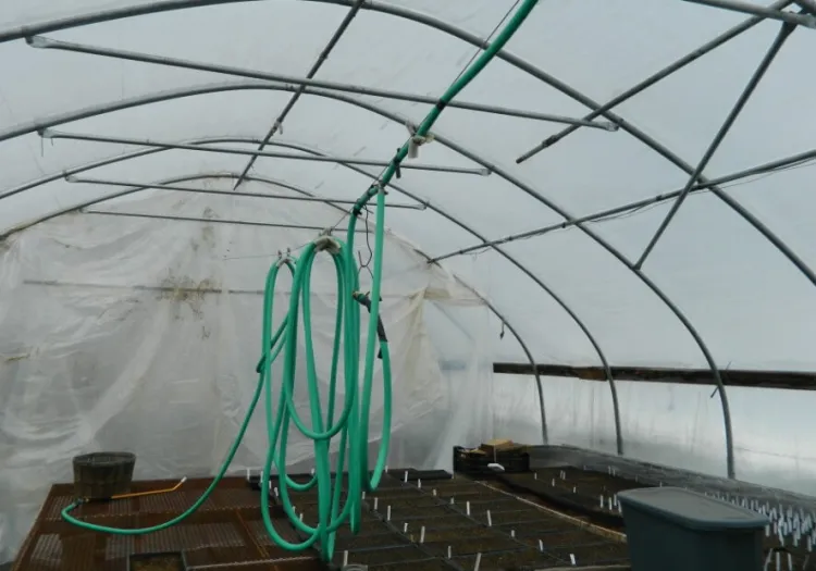 Hose trolley
