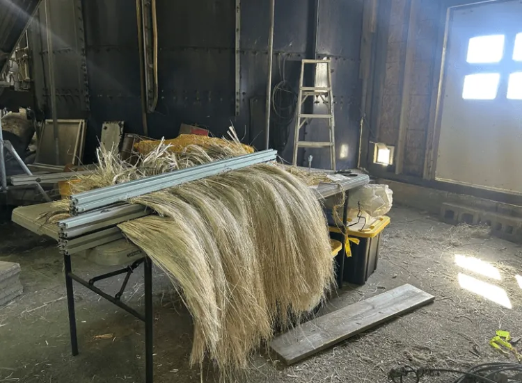 Longline hemp fiber.