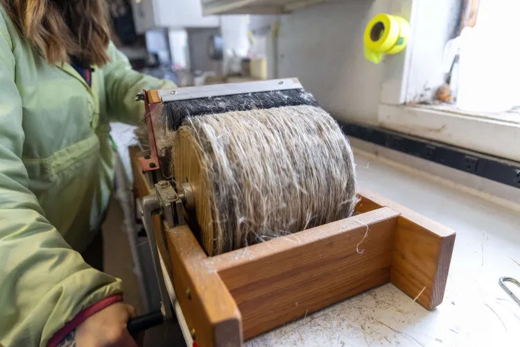Carding hemp fiber