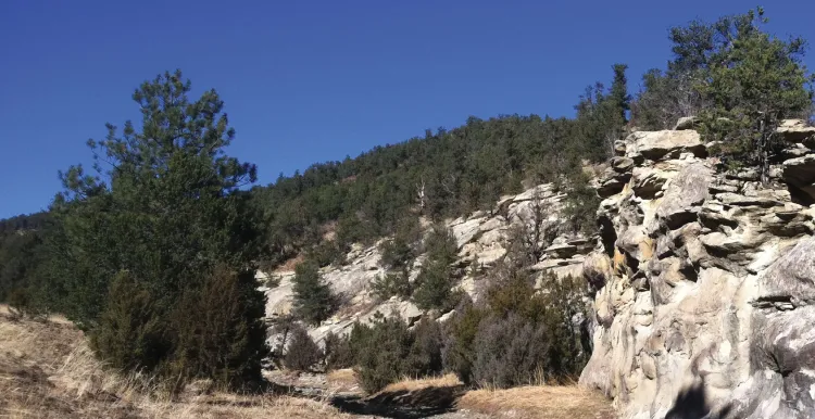 landscape with trees and rough, bare rock faces