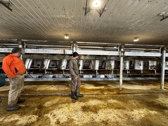 2 men in a dairy barn