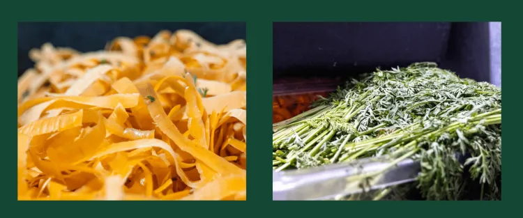 Carrot peels and tops