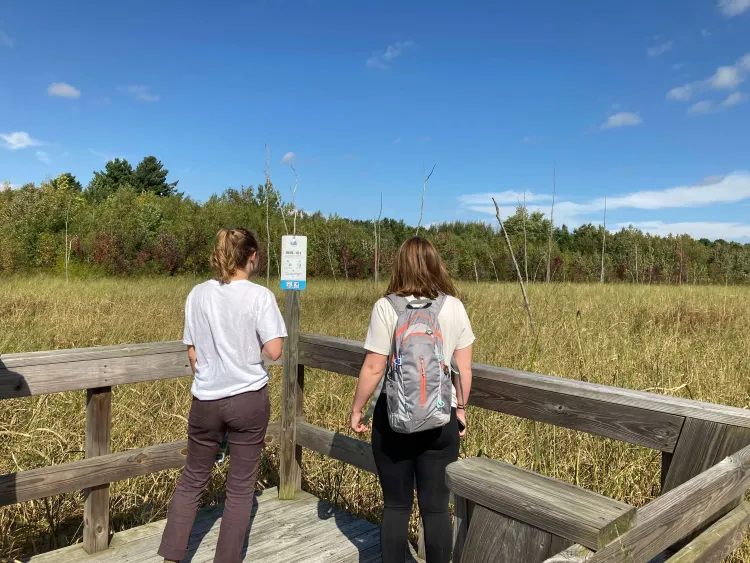 students standing on a boardwalk over water.