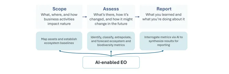 a flowchart with "scope, assess, report" at the top and AI enabled EO at the bottom