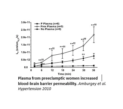 Brain Injury during pregnancy and preeclampsia