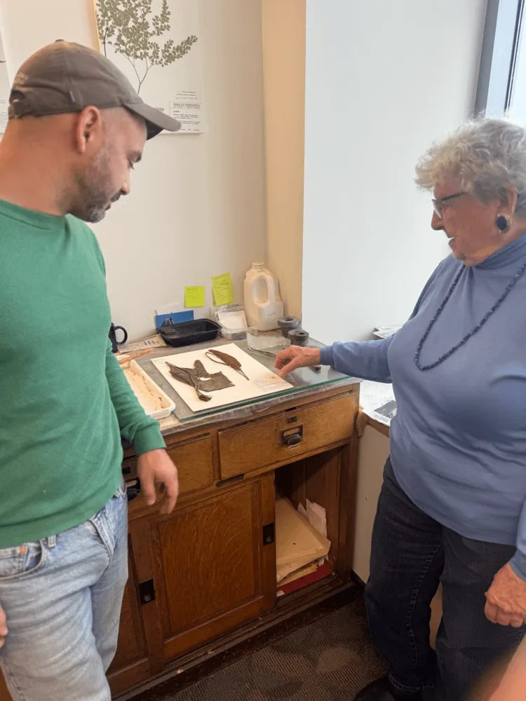 A man and a woman looking at a herbarium specimen