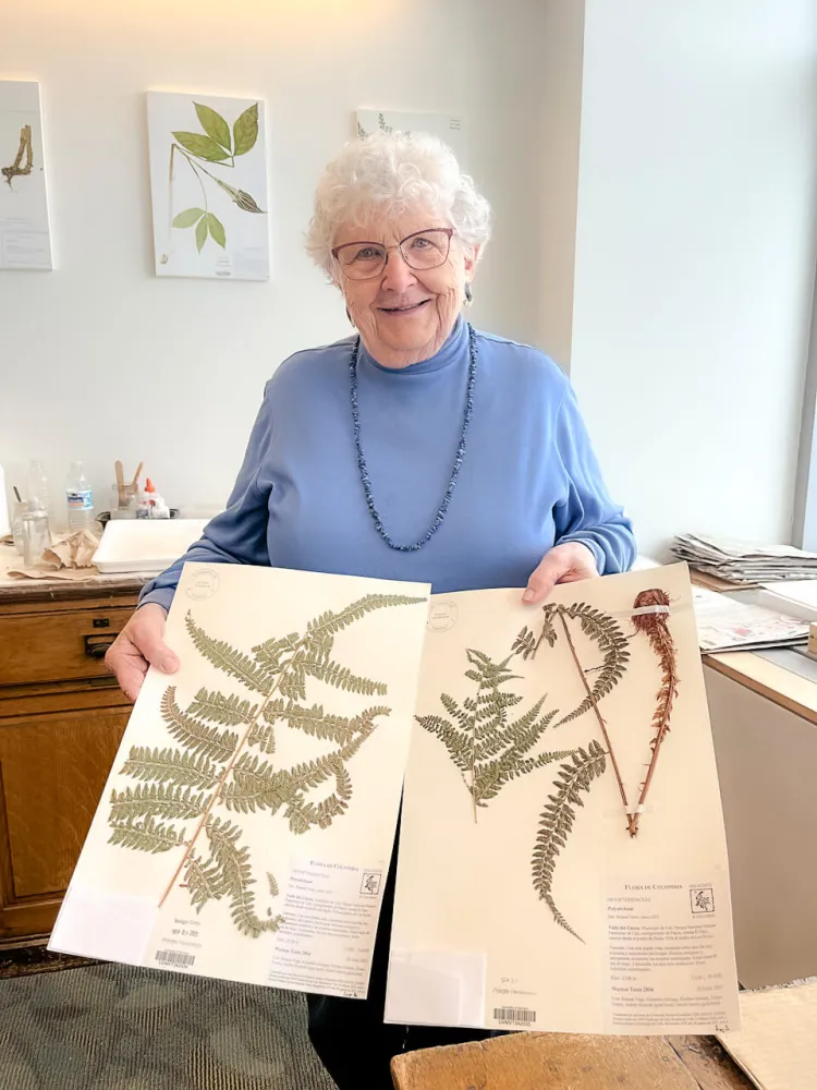 Woman holding a fern herbarium specimen