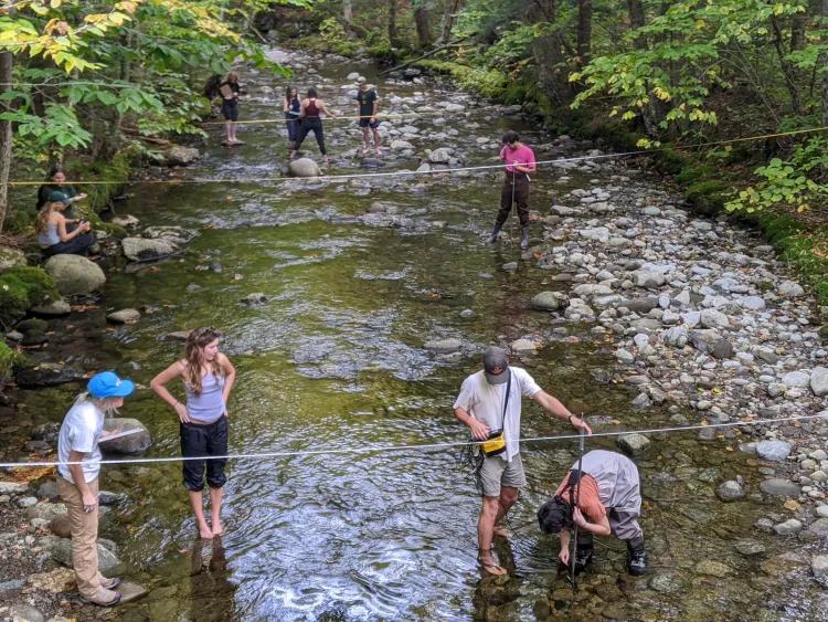 Ranch Brook on Mt. Mansfield