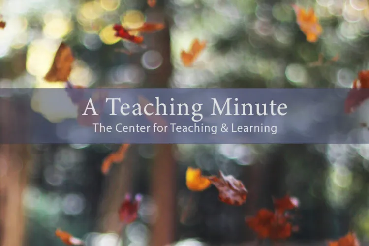 decorative of woods in fall