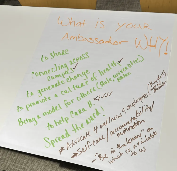 White paper with explinations of "what is your Ambassador Why?"