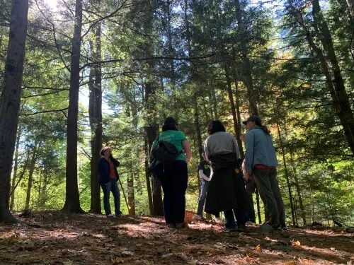 employees in the woods among tall trees