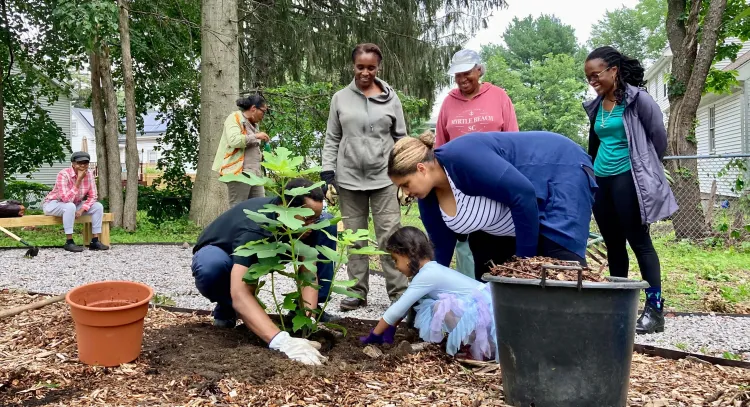 People planting trees at a part