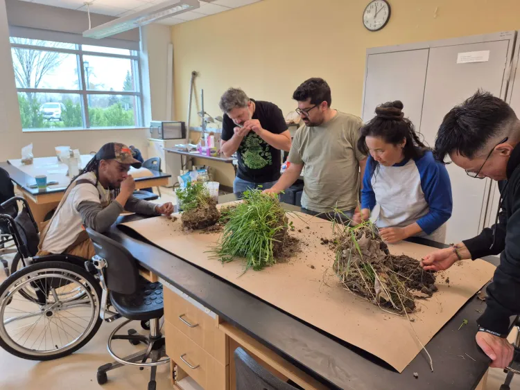 five people exam samples of soil attached to grass clumps in a lab