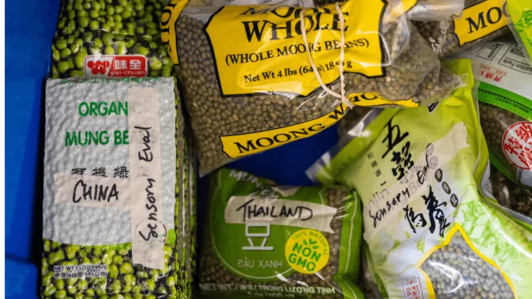 Varieties of mungbeans in their packaging