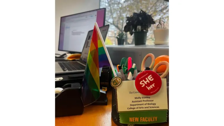 A cup of pens and office supplies, also holding a small pride flag, pronoun pin, and nametag for Dr. Molly Stanley, on a desk in front of a window.