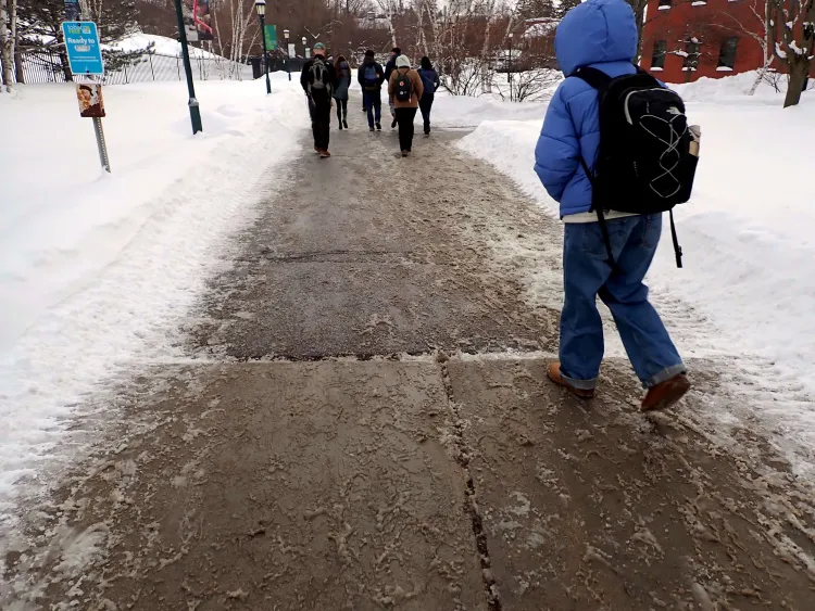 People with backpacks and jackets are seen from the back walking down a slushy sidewalk with snow on either side.