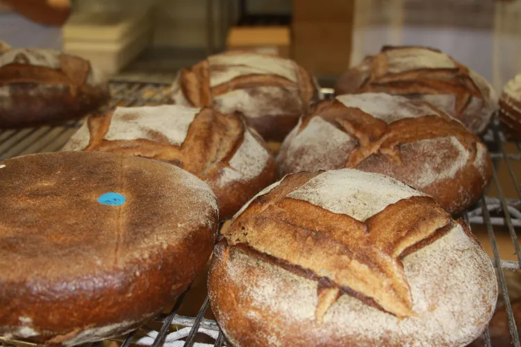 Six round loaves of baked bread.