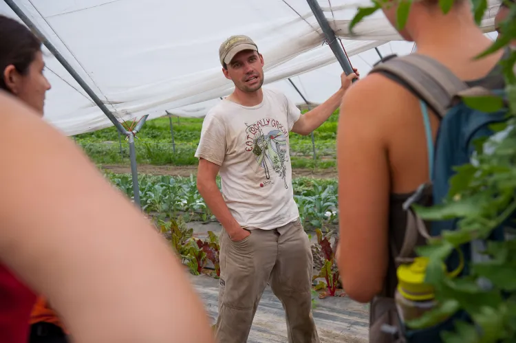 Farmers in a greenhouse