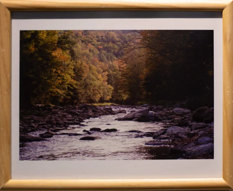 Framed photograph of a babbling brook in the fall. The lower half of the photograph features a rocky river with sparkling water moving through medium sized rocks. There are large trees on either side of the river and a forest in the background. The trees are mostly green but some are orangey yellow. Sunlight shines on the far away trees, but the river is in the shade.