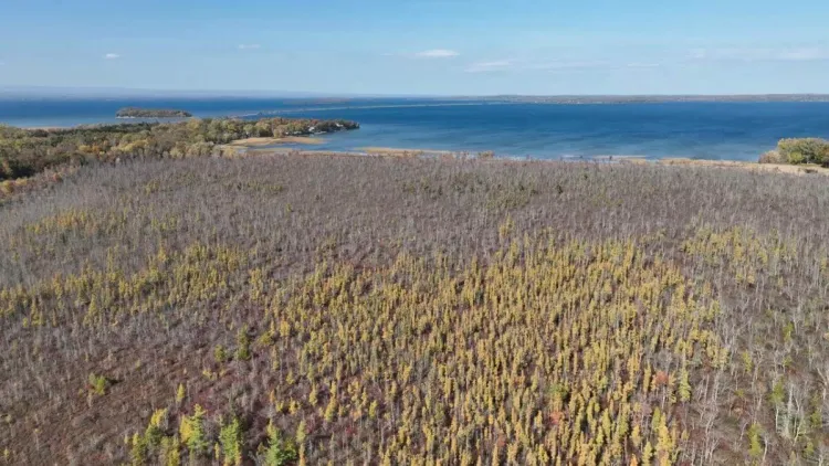 An aerial photo of Colchester Bog