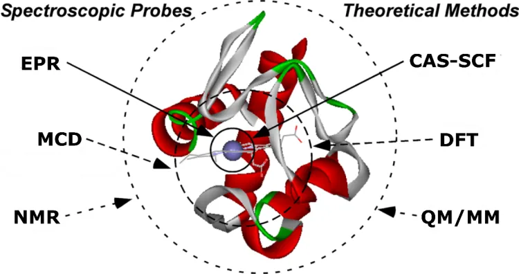 Diagram showing a protein structure with a central metal site, labeled spectroscopic probes (EPR, MCD, NMR) and theoretical methods (DFT, CAS-SCF, QM/MM).