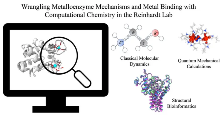 Illustration of computational chemistry methods for studying metalloenzymes, including molecular dynamics, quantum calculations, and structural bioinformatics.