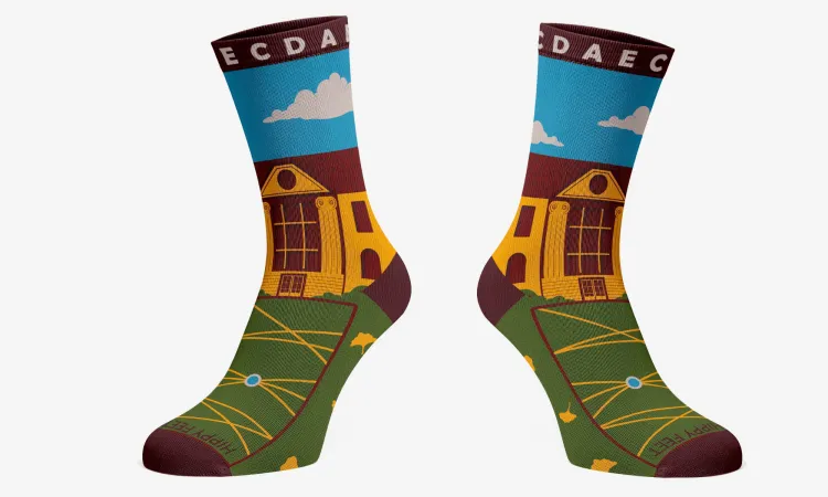 CDAE Sock Design 1