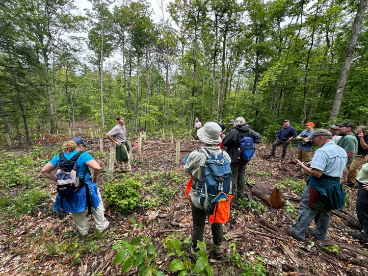 a group of students standing around a professor in the woods.